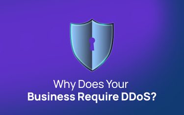 لماذا يتطلب عملك حماية DDoS؟