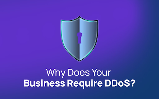 Why does your business require DDoS protection?